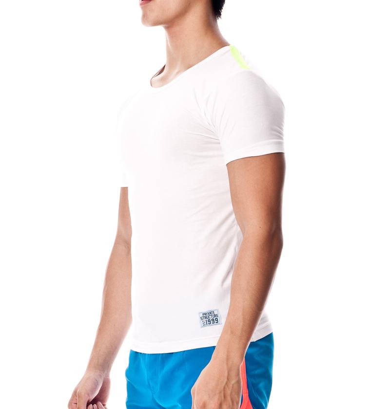 Body Wear Fitted V Neck Tee