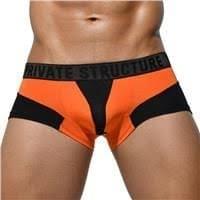 Platinum Modal Trunk Underwear